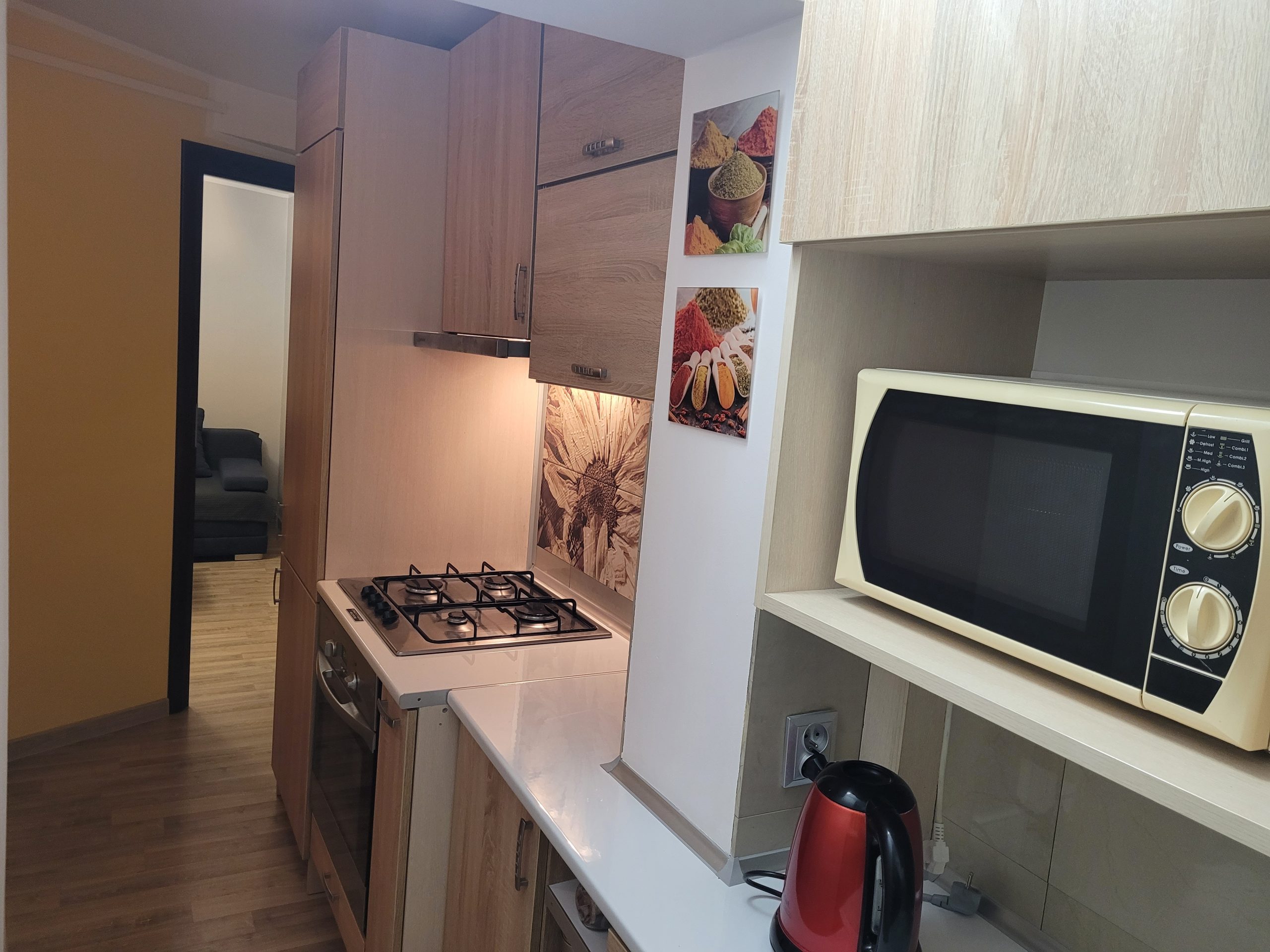 Apartament Duży — kuchnia